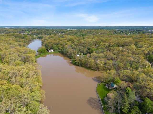 birds eye view of property with a water view and a forest view