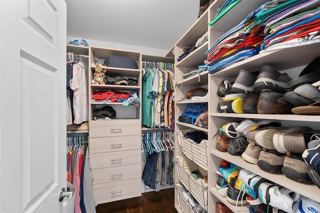 spacious closet with dark wood finished floors