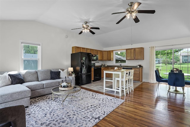 living room featuring plenty of natural light, vaulted ceiling, and dark wood-type flooring