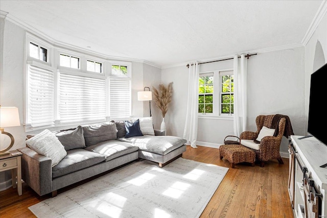 living area featuring baseboards, ornamental molding, and light wood finished floors