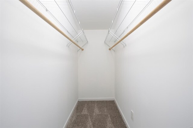walk in closet featuring carpet floors