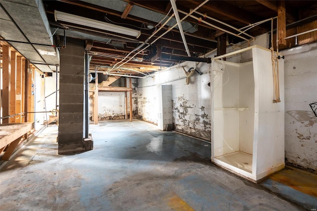 view of unfinished below grade area