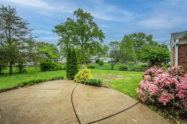 view of yard featuring a patio area