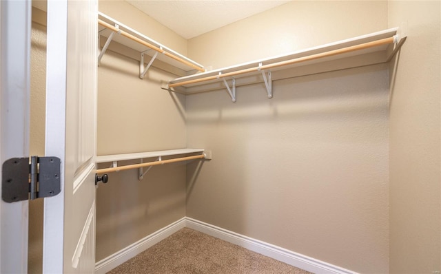 spacious closet featuring carpet