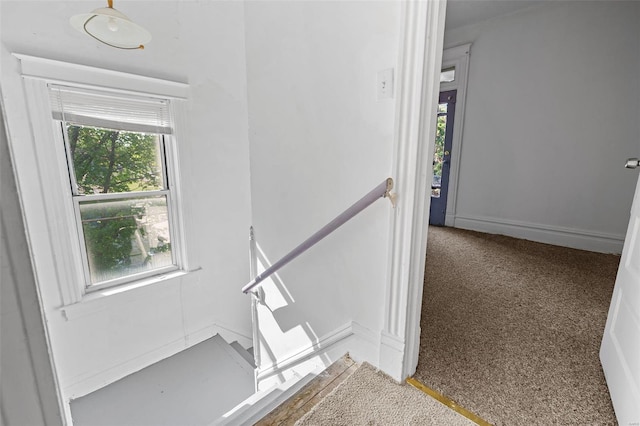 stairway with carpet and a wealth of natural light
