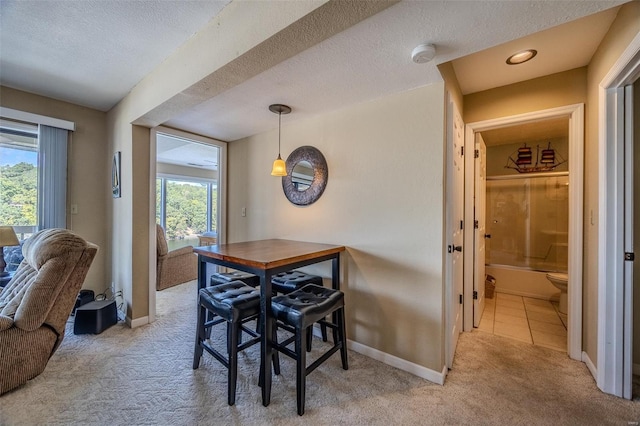 dining space featuring a textured ceiling, baseboards, and light colored carpet