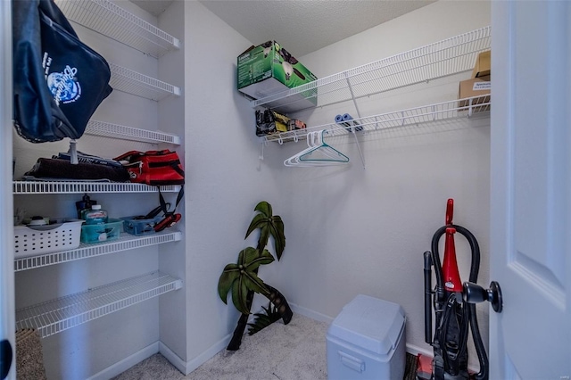 spacious closet featuring carpet floors