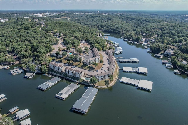 bird's eye view featuring a water view and a wooded view