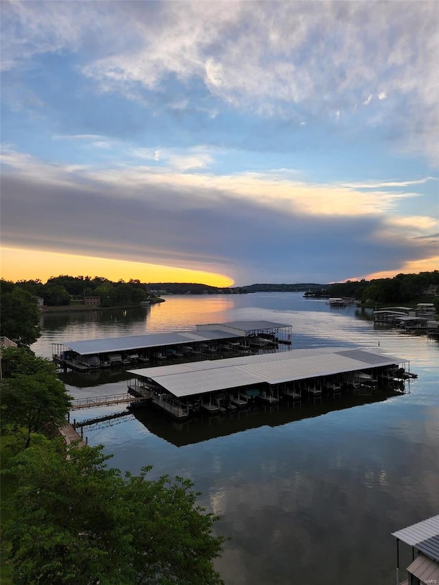 dock area with a water view