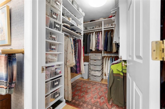 view of spacious closet