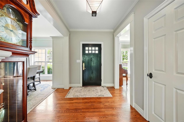 entrance foyer featuring plenty of natural light, baseboards, and wood finished floors