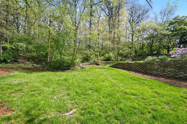 view of yard