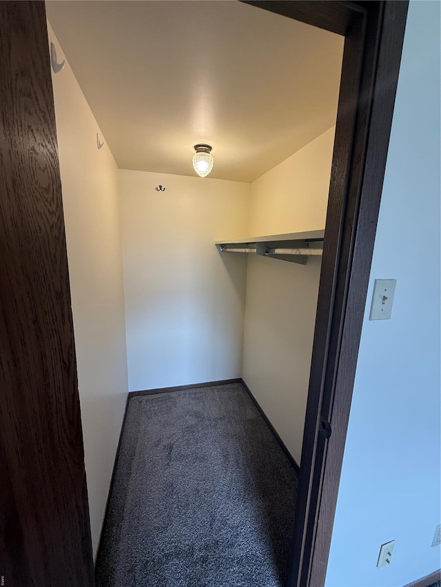 spacious closet with carpet