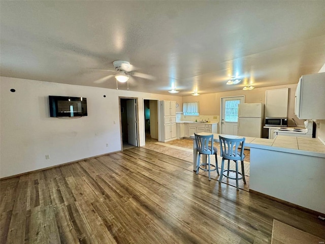 living area featuring light wood-style floors and ceiling fan