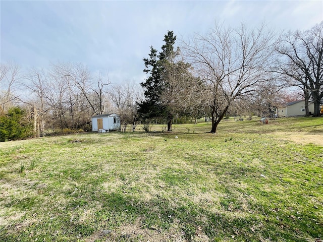 view of yard with a storage unit and an outdoor structure