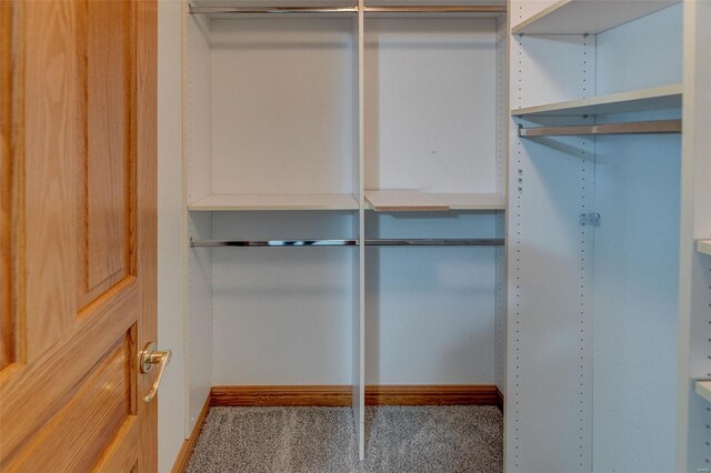 walk in closet with carpet floors