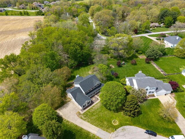 aerial view