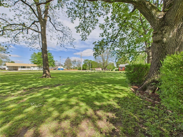 view of yard