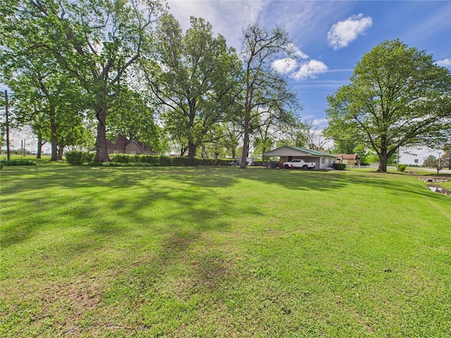 view of yard