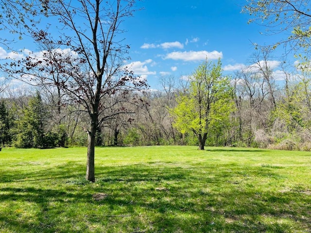 view of yard featuring a wooded view
