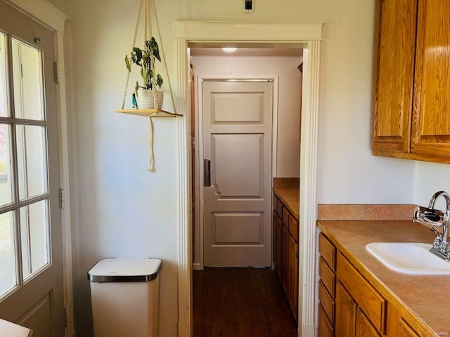 kitchen featuring dark wood finished floors, brown cabinets, a healthy amount of sunlight, and a sink