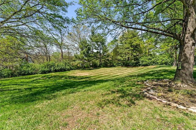 view of yard