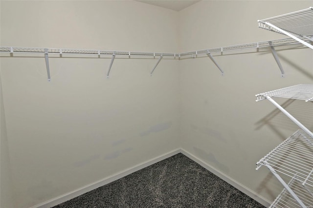 walk in closet with carpet