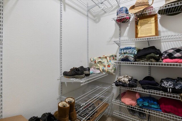view of spacious closet