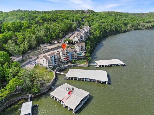 bird's eye view with a water view and a wooded view