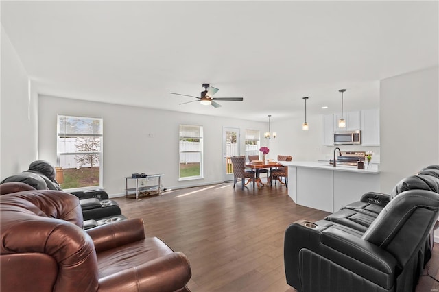 living room with ceiling fan with notable chandelier, a healthy amount of sunlight, and dark wood-style floors