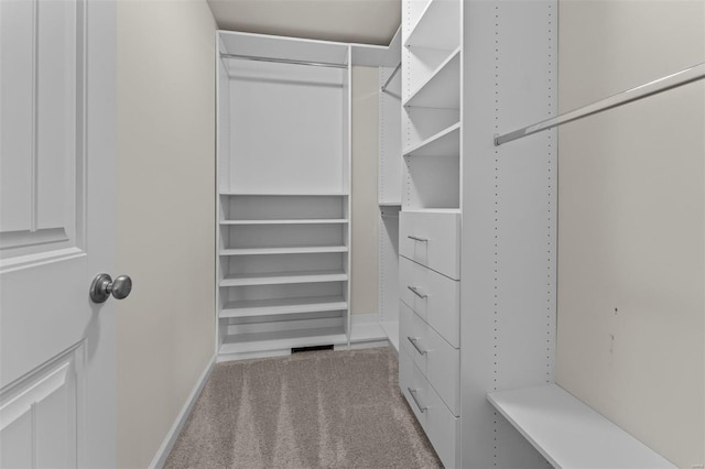 spacious closet featuring carpet flooring