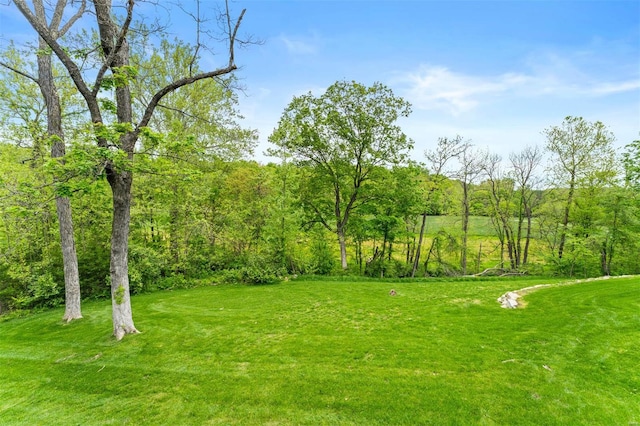 view of yard