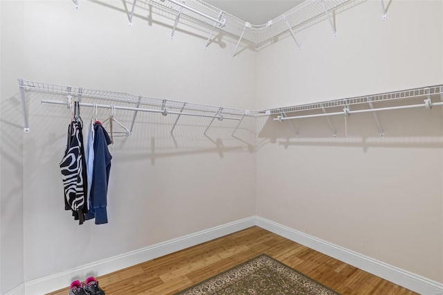 walk in closet with wood finished floors