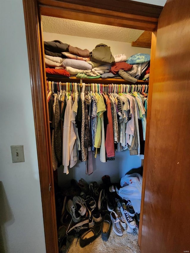 view of closet