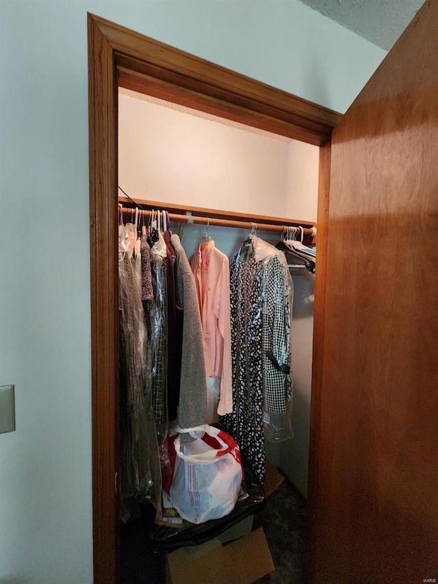 view of closet