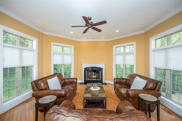 living room with wood finished floors, ceiling fan, crown molding, and plenty of natural light