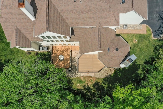 bird's eye view