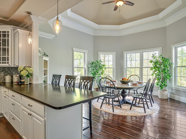 interior space with dark wood finished floors, ornamental molding, ceiling fan, baseboards, and a tray ceiling