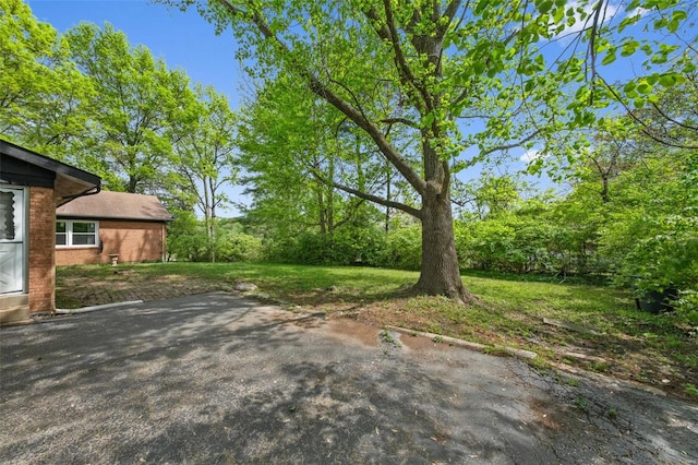 view of yard featuring a patio area