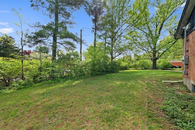 view of yard