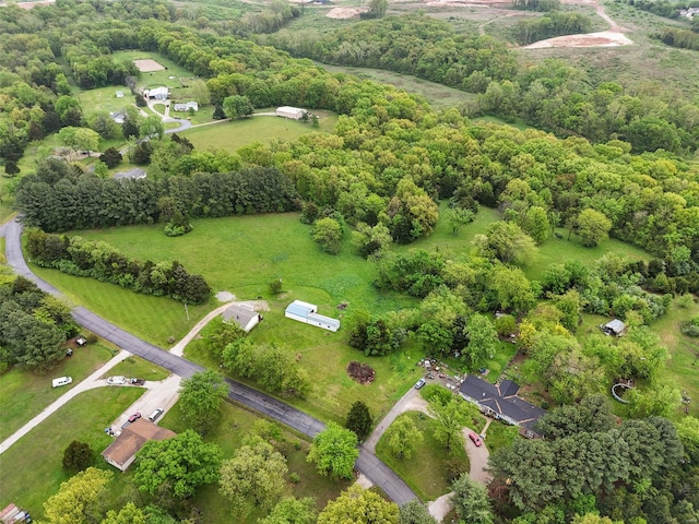 drone / aerial view