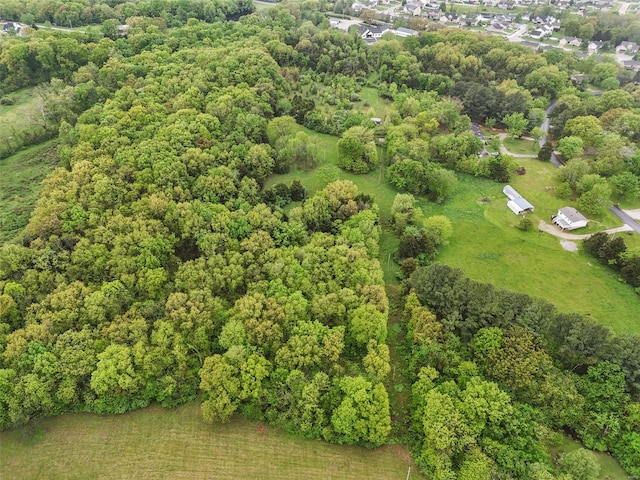 bird's eye view with a view of trees