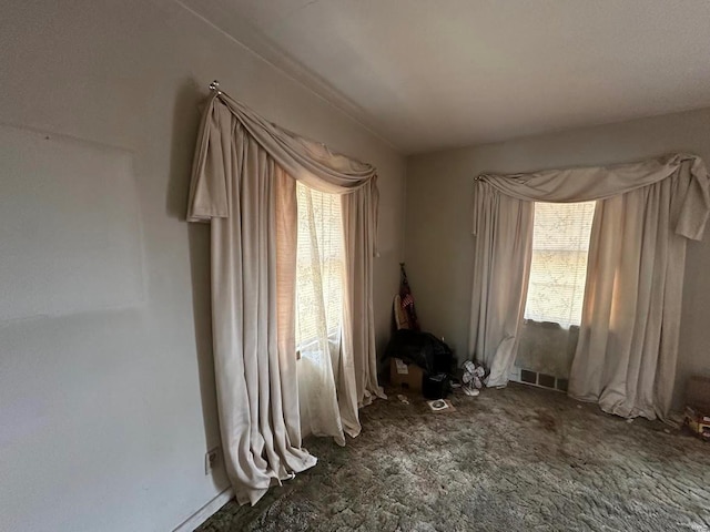 empty room featuring carpet flooring