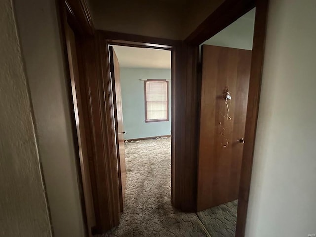hall featuring carpet flooring