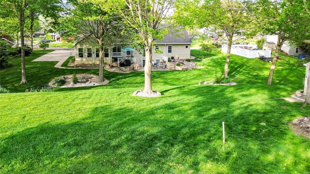 view of yard featuring a patio