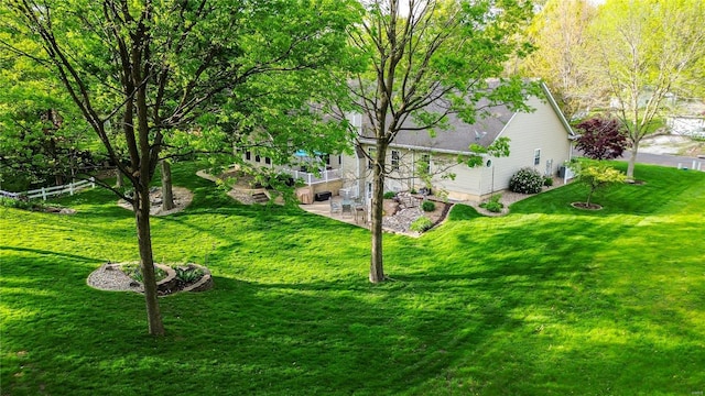 view of yard featuring a patio