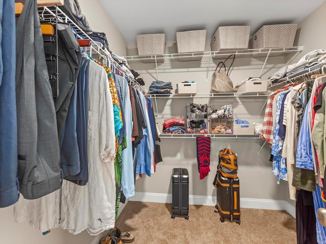 walk in closet featuring carpet