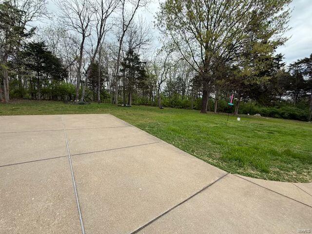 view of yard featuring a patio area