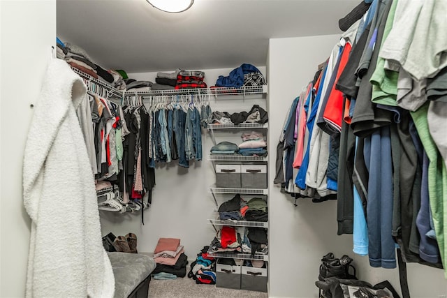 walk in closet with carpet