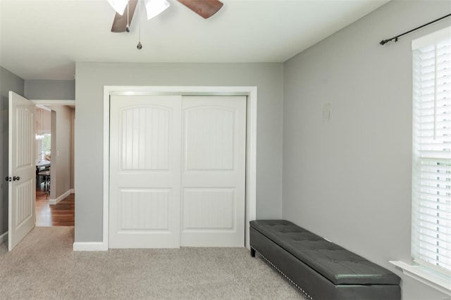 carpeted bedroom with a closet, a ceiling fan, and multiple windows